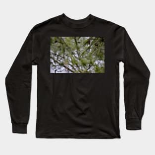 Pine Branch Border Long Sleeve T-Shirt